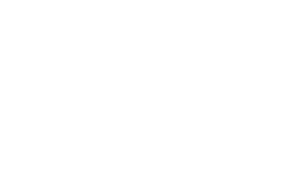Vancouver Art Gallery