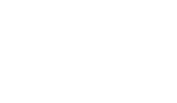 Synaptitude