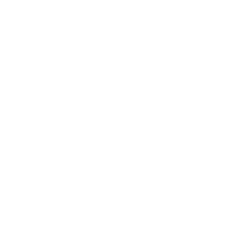 Nicole Parmar Business Solutions Logo