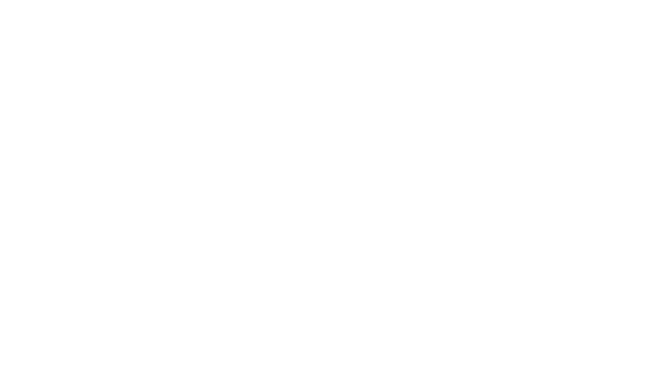 Conquer Experience