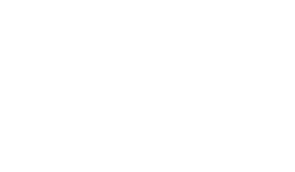 Priti Lad Professional Corporation